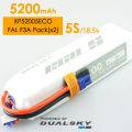 DUALSKY リポバッテリー 18.5V5200mAh 25C (XP52005ECO)