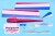 PILOT ファゲイラ（無尾翼機） 11326
