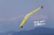 OK PILOT フライングウィング ピパーチ  無尾翼機 バルサキット 12177 100g未満 免許不要 航空法規制対象外