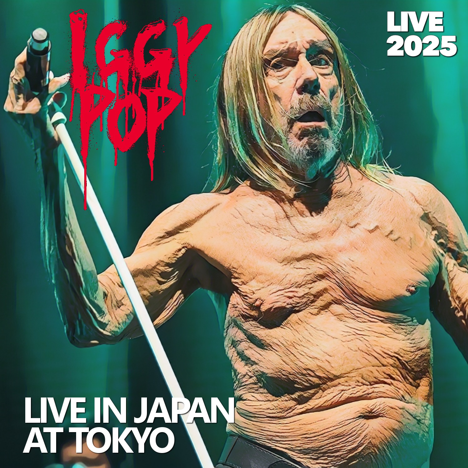 コレクターズCD Iggy Pop - Japan Tour2025