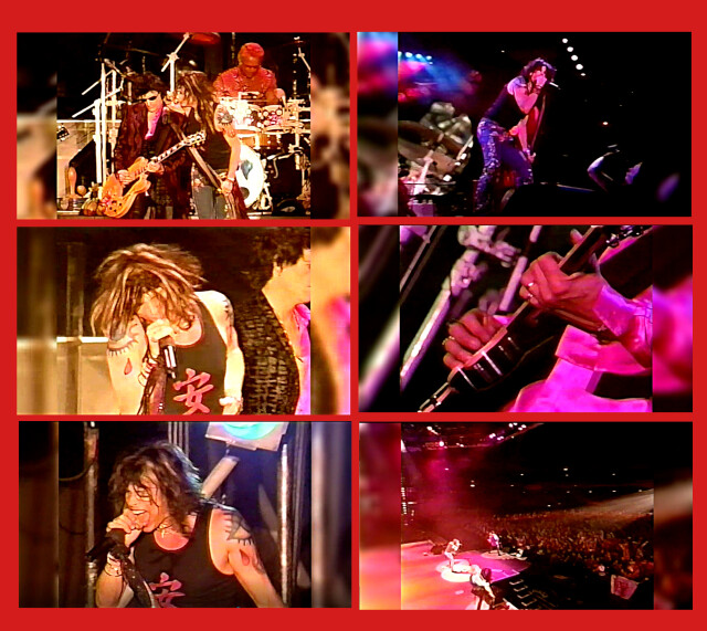 コレクターズDVD  Aerosmith - Roar Of The Dragon Tour 1999-2000