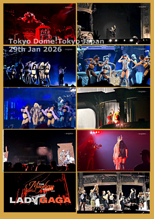 コレクターズDVD レディーガガ 2026年日本公演 1月29日東京ドーム