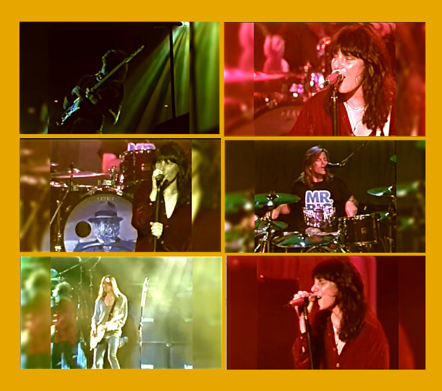 コレクターズDVD Mr. Big - Hey Man Japan Tour 1996