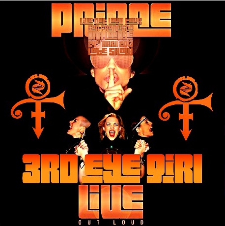 コレクターズCD プリンス（3rd Eye Girl）　2013年アメリカツアー　