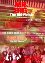 MR.BIG 2011年 ツアー VIPパッケージ ラミネート パス MR.BIG 2011年 ツアー VIPパッケージ ラミネート パス