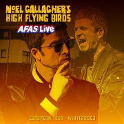 Noel Gallagher's High Flying Birds 7インチ Noel Gallagher's high flying birds: Amazon.pl: Płyty CD i
