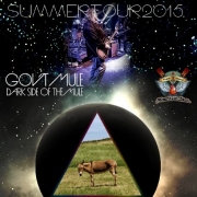 コレクターズCD ガヴァメント・ミュール（Gov't Mule）2015年　サマーツアー