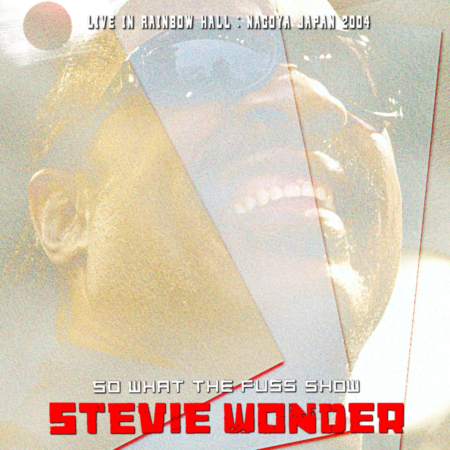 コレクターズCD　Stevie Wonder - Japan Tour 2004