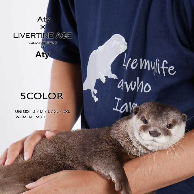 受注期間限定！Atyコラボ企画！コラボ半袖Tシャツ◆Aty  コラボ   半袖Tシャツ
