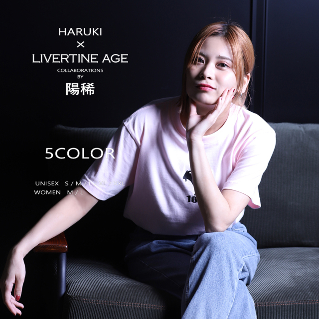 美品✨Liverano & Liverano レジメンタル シルクタイ 伊製 受注期間限定！陽稀コラボ企画！コラボ半袖Tシャツ◇陽稀