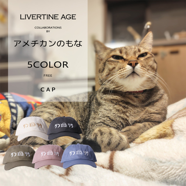 受注期間限定！アメチカンのもなコラボ企画！コラボキャップ