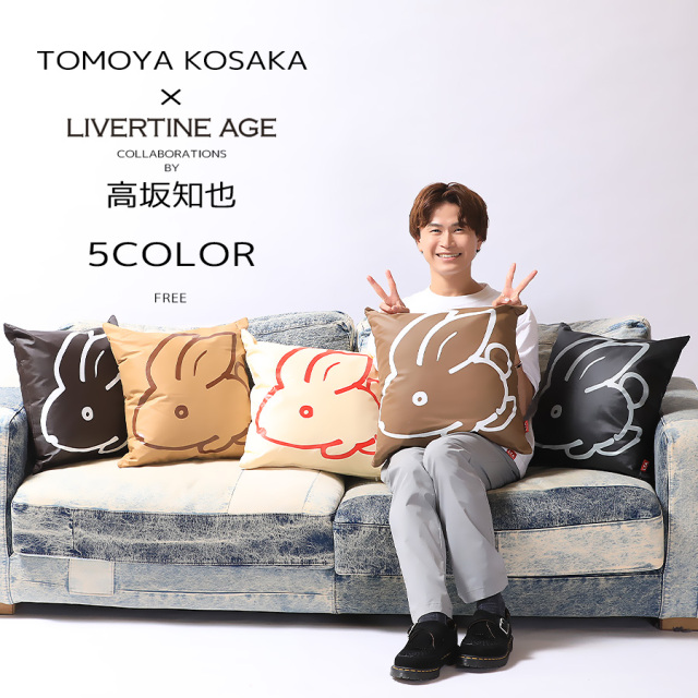 yes we are 岩田剛典 クッション 受注期間限定！高坂知也コラボ企画！コラボクッション◇高坂知也