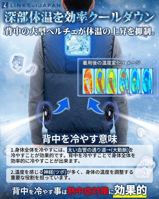 2026モデル 冷暖BODY サーモベスト 空調服 ペルチェベスト LOJ-PJ03