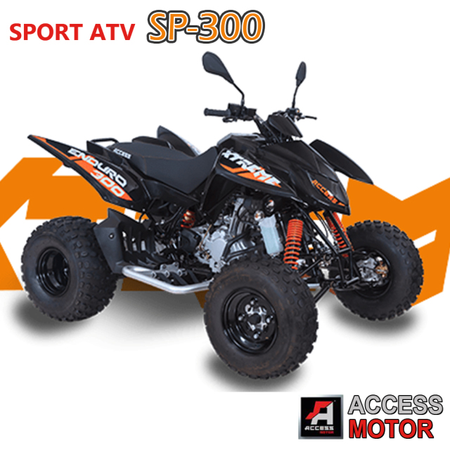 アクセスモーター　SP-300 受注生産