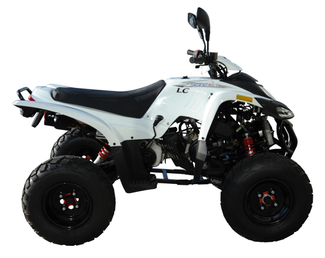 ADLY四輪バギー 50RS ホワイト｜ロフトジャパン