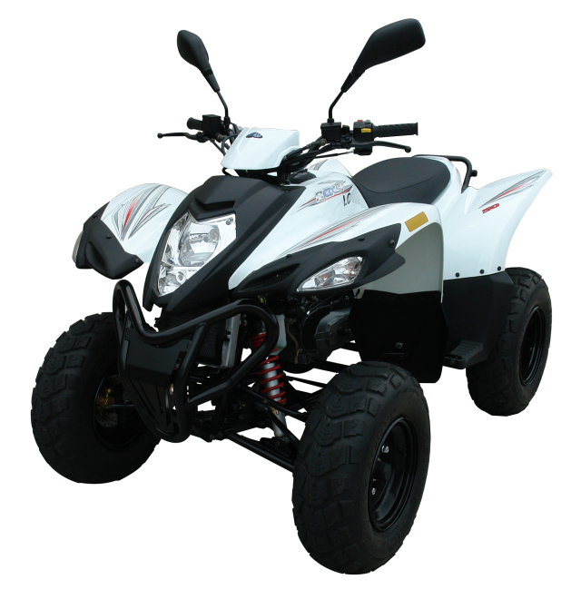 ADLY四輪バギー 50RS ホワイト｜ロフトジャパン