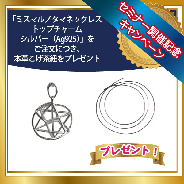 ミスマルノタマネックレストップチャーム　シルバー（Ag925）＋本革こげ茶紐