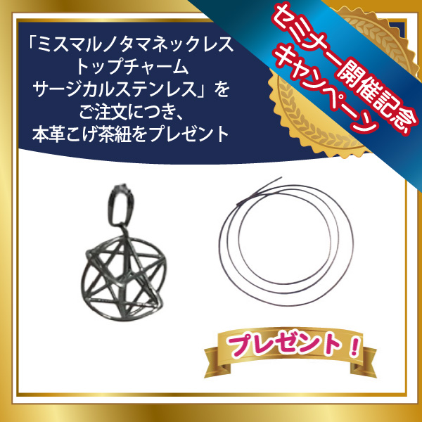 ミスマルノタマトップチャーム　サージカルステンレス+革紐