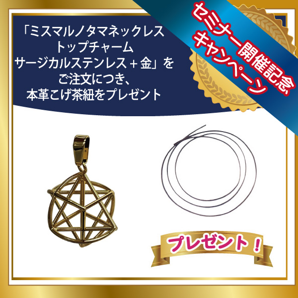 ミスマルノタマトップチャーム　サージカルステンレス金　本革こげ茶紐
