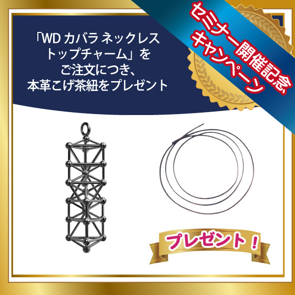 WDカバラ ネックレストップチャーム＋本革こげ茶紐