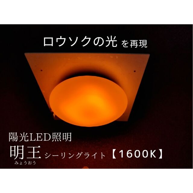 「明王」ライトセラピー用 キャビネットランプ 【赤色670型（目と髪の毛）/電球型対応】
