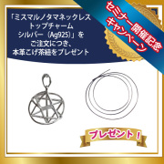 ミスマルノタマネックレストップチャーム　シルバー（Ag925）＋本革こげ茶紐