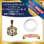 ミスマルノタマトップチャーム　サージカルステンレス金　本革こげ茶紐
