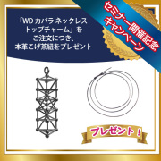 WDカバラ ネックレストップチャーム＋本革こげ茶紐