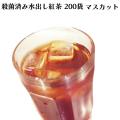 ロンドンティールームの水出し紅茶 マスカット 0ティーバッグ入 アイスティー 殺菌済み 角型ティーバッグ