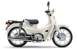 ホンダ '26 スーパーカブ110 ホワイト ★新車