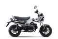 ホンダ '26 ダックス125  ホワイト★ 新車