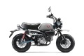 ホンダ '26 モンキー125  新車 グレー　　