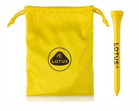 GOLF TEE 20本