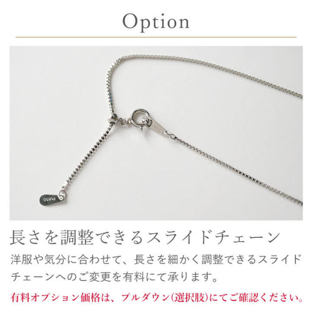 プラチナベネチアンチェーン
