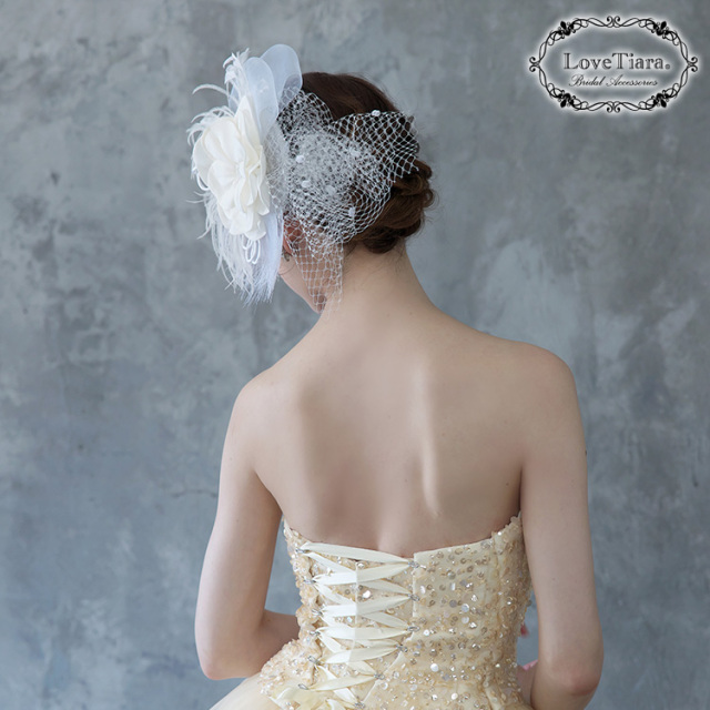 ヘッドドレス【ボーテ】バードケージベール 髪飾り・花冠 ウェディング