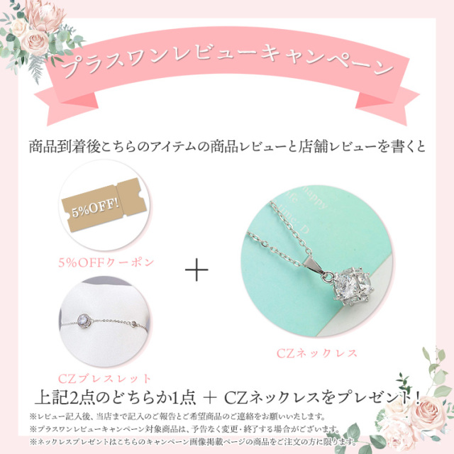 プラスワンレビューキャンペーン