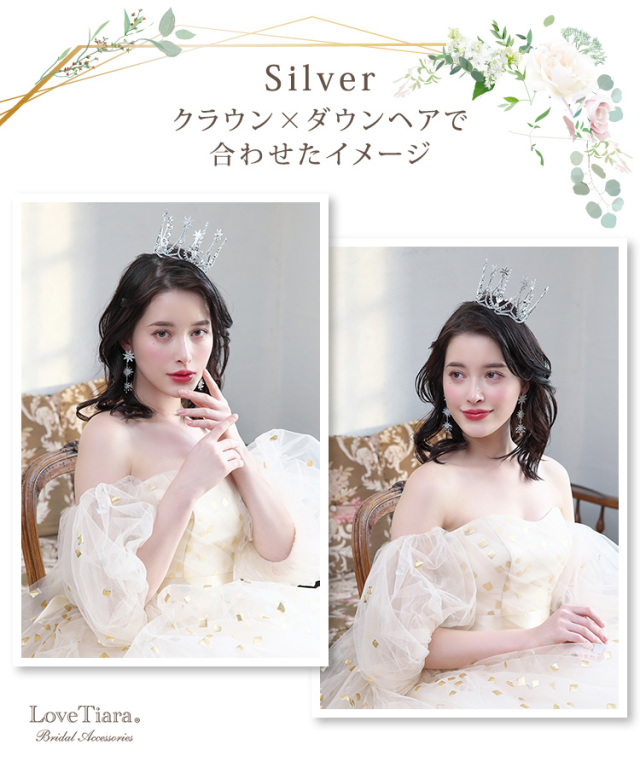 シルバーカラーをクラウンとダウンヘアで合わせた女性のイメージ