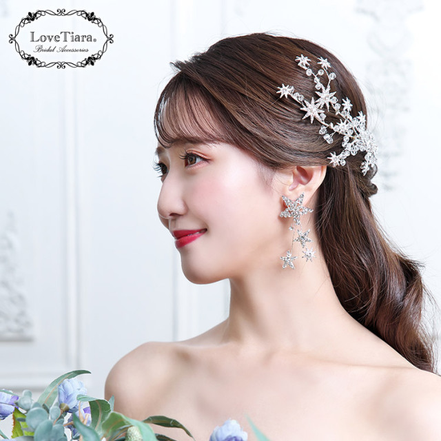 スターリーイヤリング／ピアス 着用イメージ