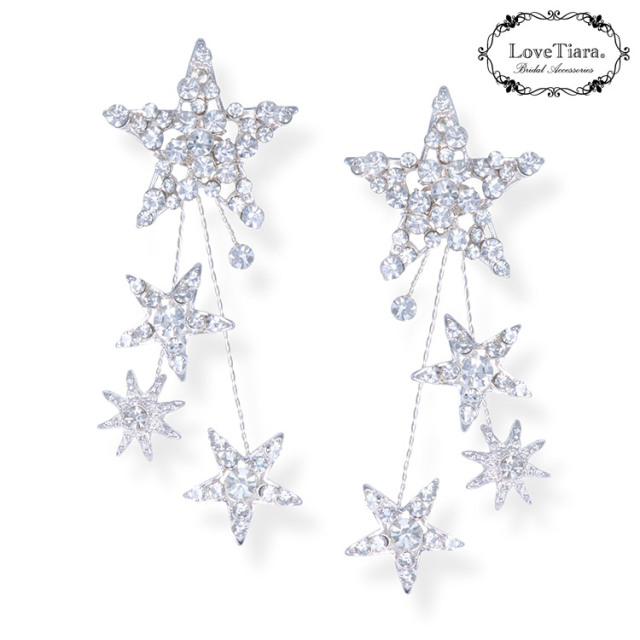 スターリーイヤリング／ピアス 詳細イメージ