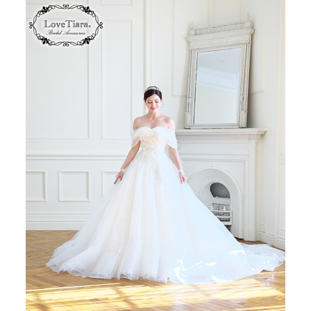 トウィッグリーフティアラ 着用イメージ