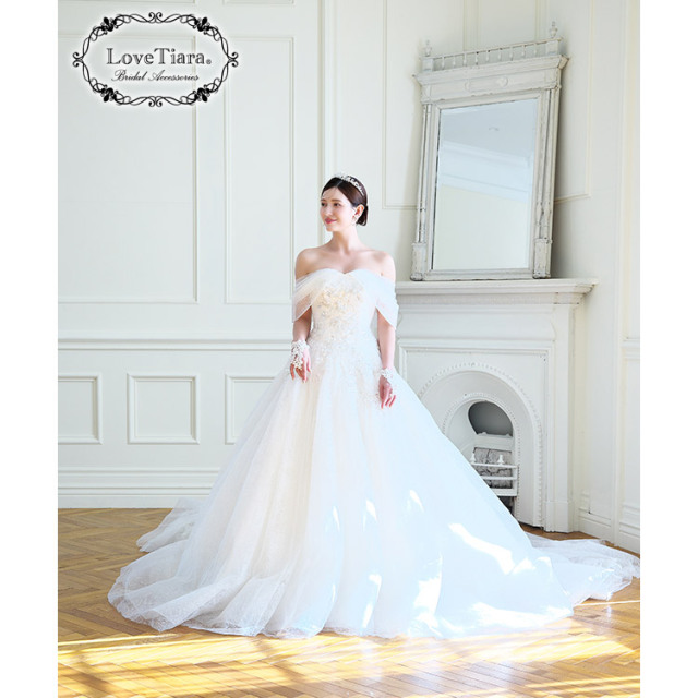 トウィッグリーフティアラ 着用イメージ