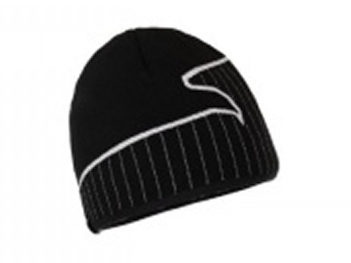 CLINA PP BEANIE (���饤��PP�ӡ��ˡ�) - �����(salewa)