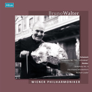 【LP レコード】　ワルター/ウィーン・フィル 1960年告別演奏会　＜完全限定生産盤/国内プレス＞　ALTLP153/154　2LP