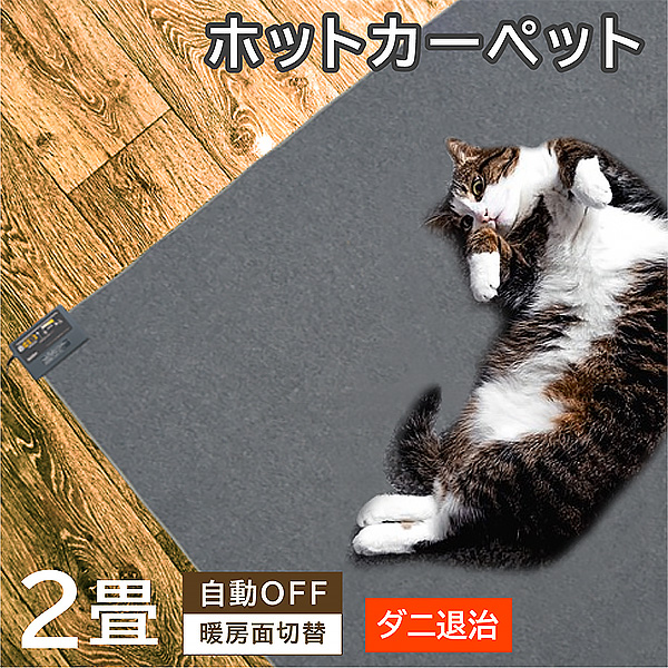 2畳用ホットカーペット 【SKJ-KS2J-G]】