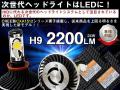 ＬＥＤヘッド