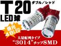 T20