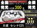 LED