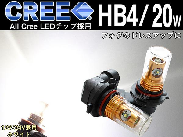 LED球