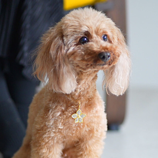 アガパンサス DOGネックレス（ゴールド色） ※文字入れ刻印オプション有