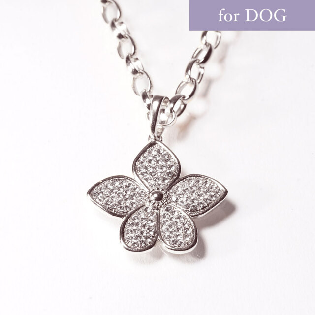 アガパンサス DOGネックレス ※文字入れ刻印オプション有